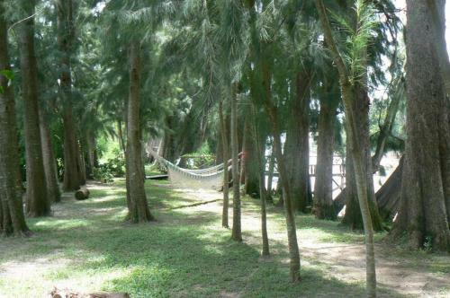 Posada Barlovento