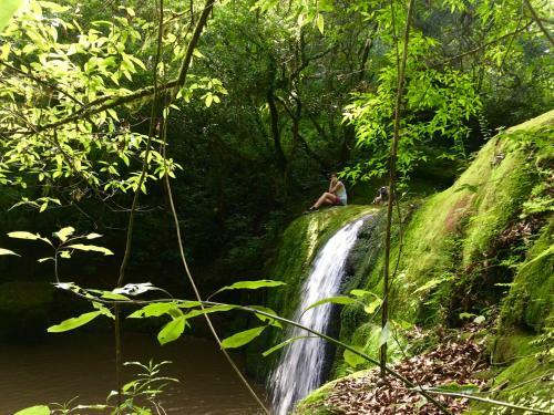 Agroturismo La Arbolada