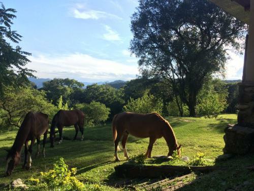 Agroturismo La Arbolada