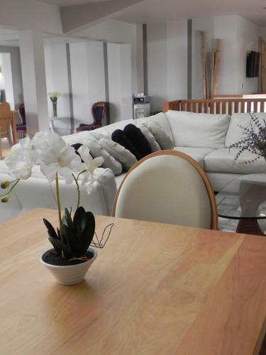 Hotel Las Terrazas Business