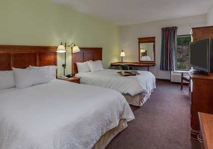 Hotel Hampton Inn Hazleton
