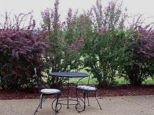 Hotel Best Western Plus Madisonville Inn