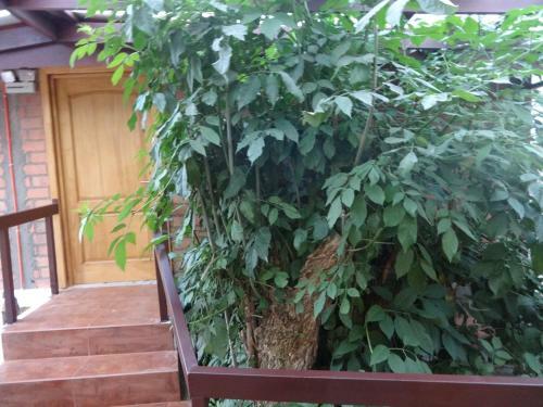 Hotel Estaci�n N�utica Estrecho De Magallanes