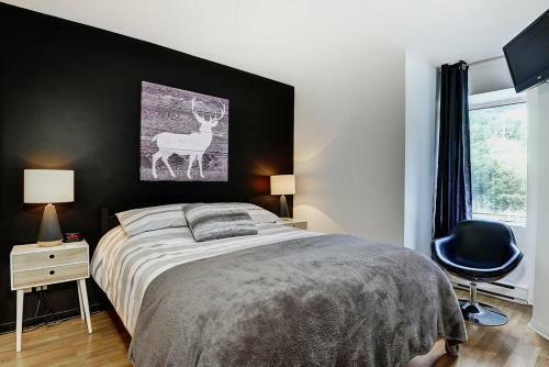 Apartamento Chalet - 620 Chemin Du Hibou #006