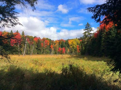 Hotel Madawaska Lodge