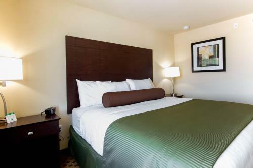 Hotel Cobblestone Inn & Suites Eads