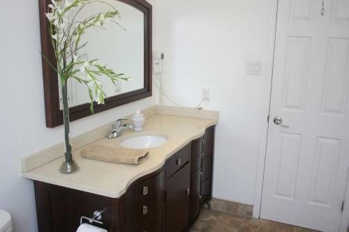 Andante G�te Bed And Breakfast