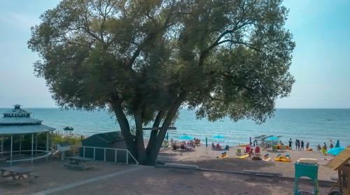 Motel Sunport Beach Resort