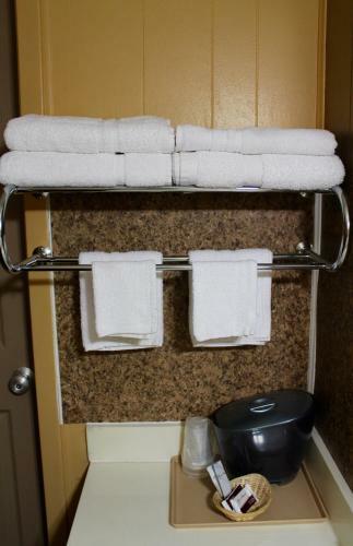 Motel Executive Inn Goliad