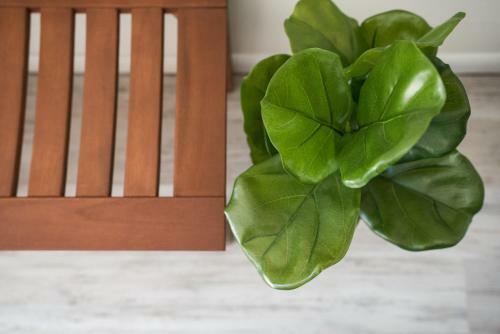 Hotel Carriage House Motor Inn