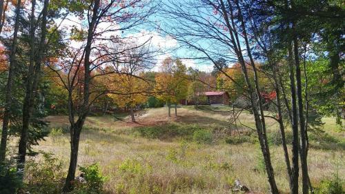 Lodge Muskoka Log Cabin With Trails