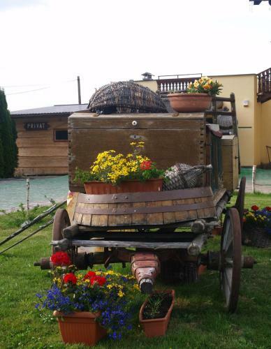Hostal Villa Victoria Penzion