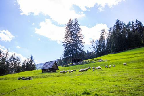Agroturismo U Dobr�ho Pastiera