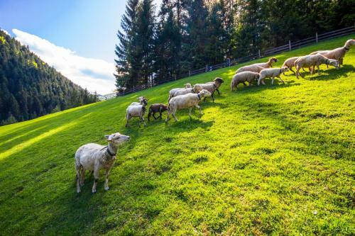 Agroturismo U Dobr�ho Pastiera