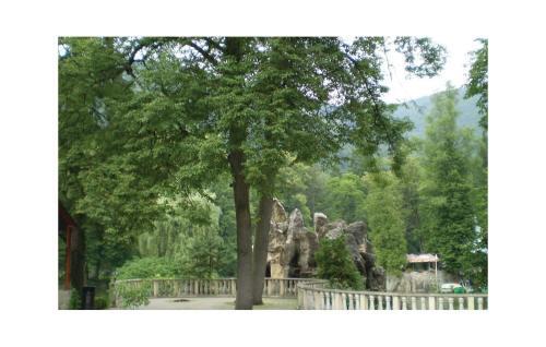 Holiday Home Rajecke Teplice II