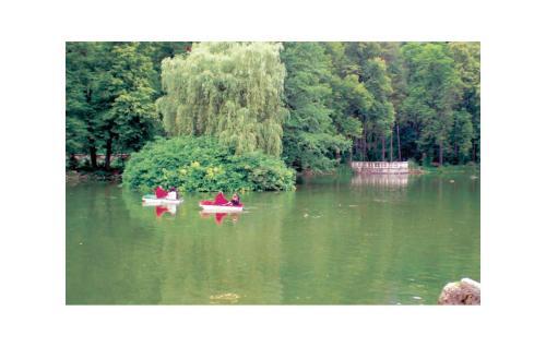 Holiday Home Rajecke Teplice II