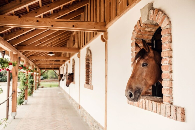 Hostal Pension Zwicker
