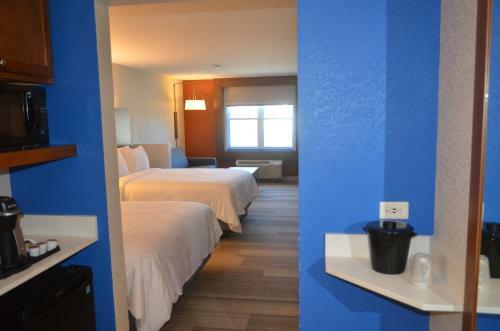 Holiday Inn Express Hotel & Suites Rochester