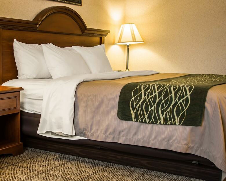 Hotel Comfort Inn & Suites Dimondale