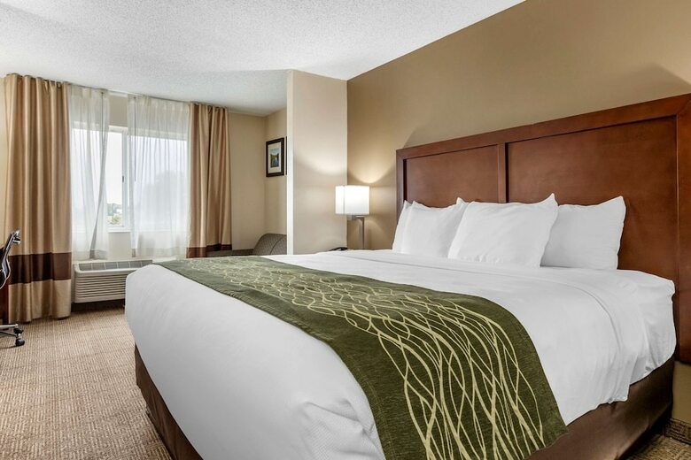 Hotel Comfort Inn & Suites Dimondale