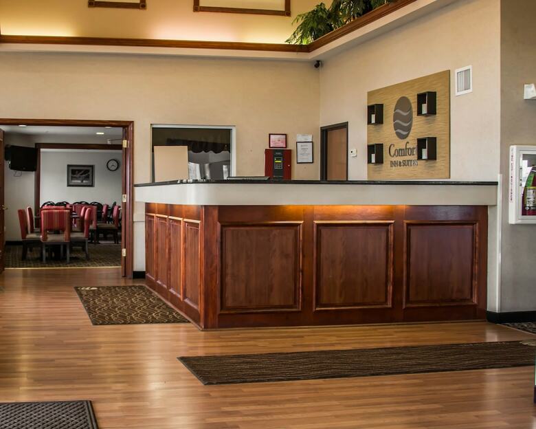 Hotel Comfort Inn & Suites Dimondale