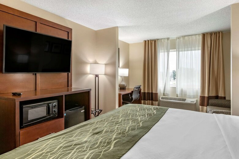 Hotel Comfort Inn & Suites Dimondale