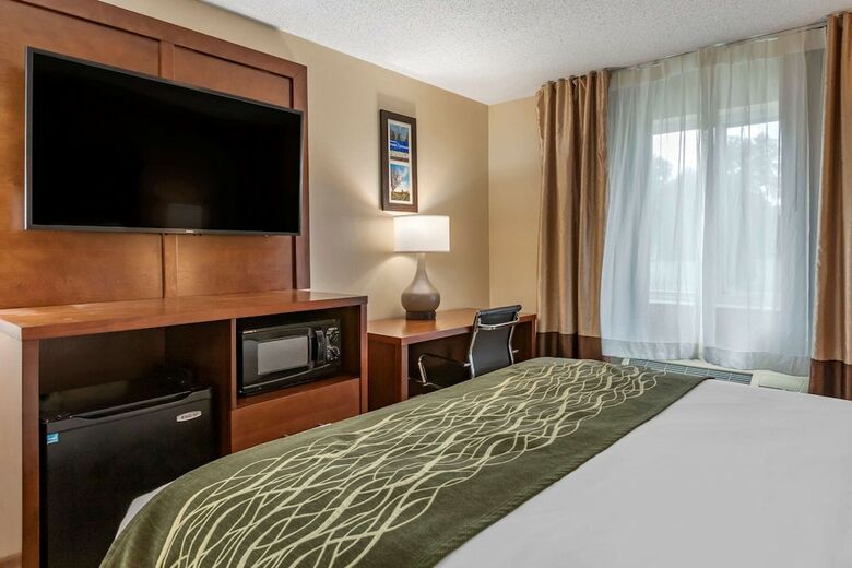 Hotel Comfort Inn & Suites Dimondale