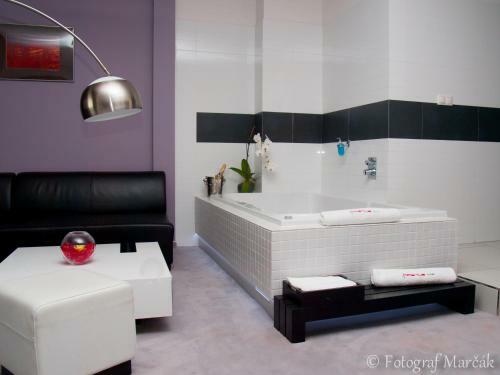 Hotel Magnus Tren?�n