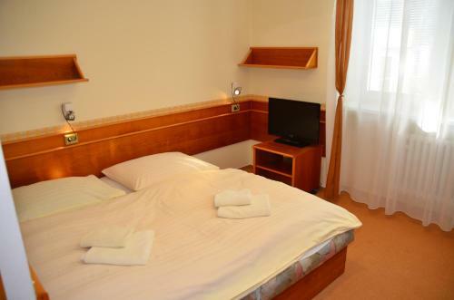 Hostal Penzion Fontis Terrae