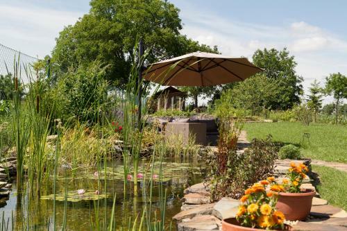 Hostal Rekrea?n� Dom Sisi