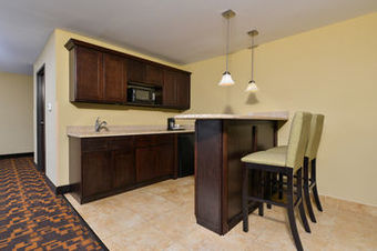 Hotel Holiday Inn Mount Prospect-chicago