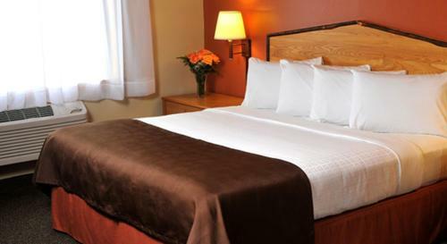 Hotel Americinn Lodge And Suites - Oswego