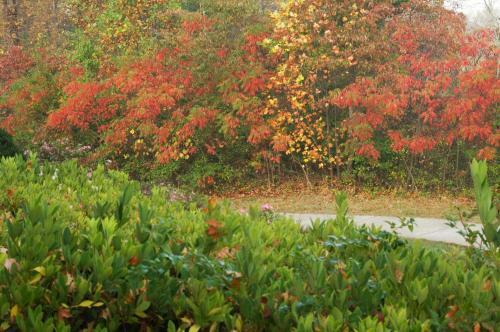 Hotel Brasstown Valley Resort & Spa