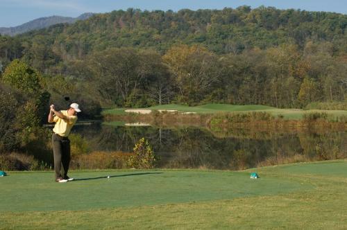 Hotel Brasstown Valley Resort & Spa