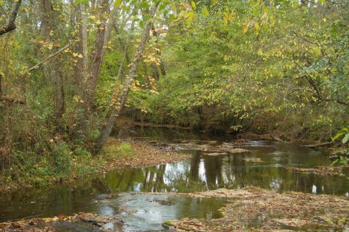 Hotel Brasstown Valley Resort & Spa