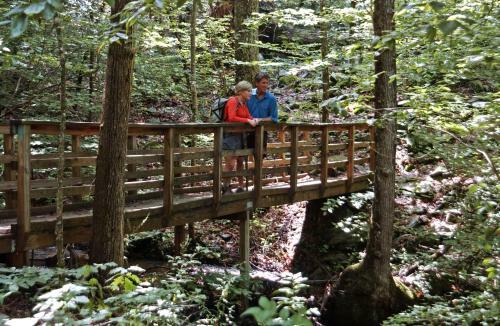 Hotel Brasstown Valley Resort & Spa