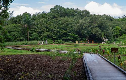 Apartamentos Hanalei Colony Resort
