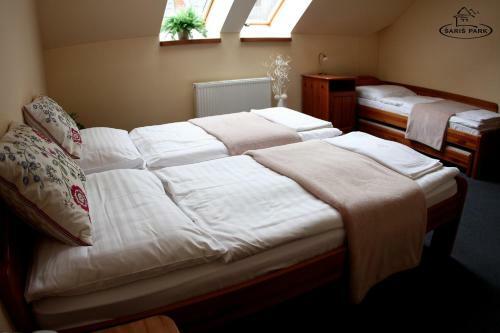 Hotel Penzion Saris Park