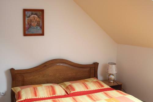 Hostal Penzion Rosnicka Liesek