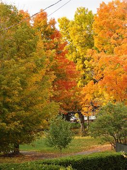 Estabrook House Bed And Breakfast