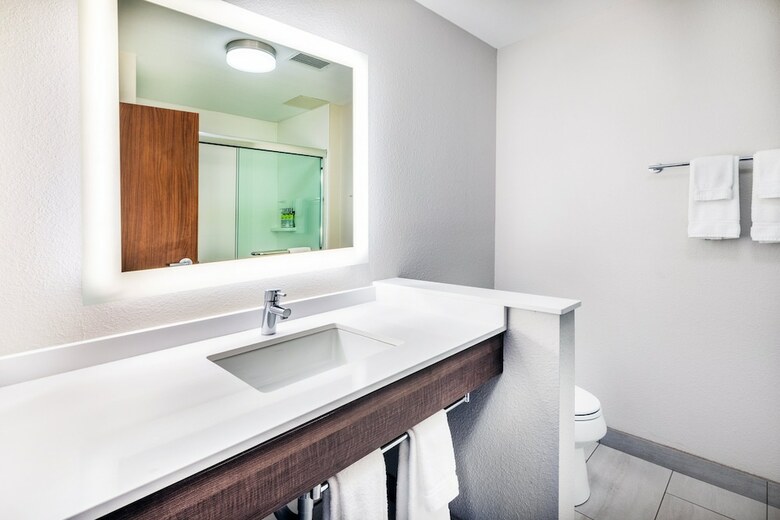 Hotel Holiday Inn Express & Suites Ozona