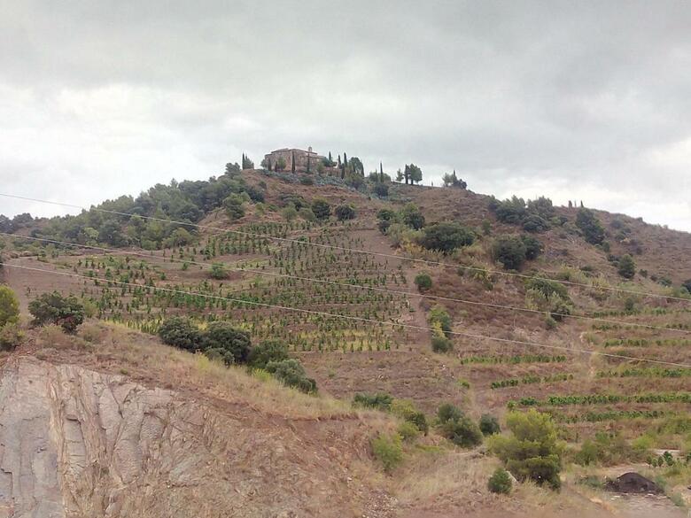 Hotel-celler Buil & Gine