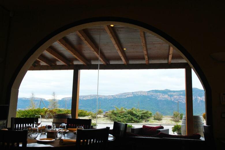 Hotel-celler Buil & Gine