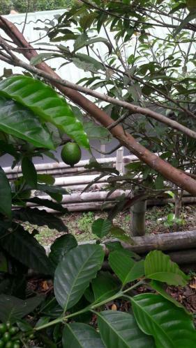Agroturismo Jardines De Berlin