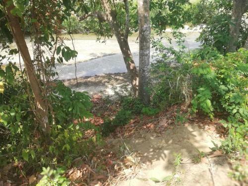 Apartamento Caba�as Ecotur�sticas Mi Terru�o Tayrona