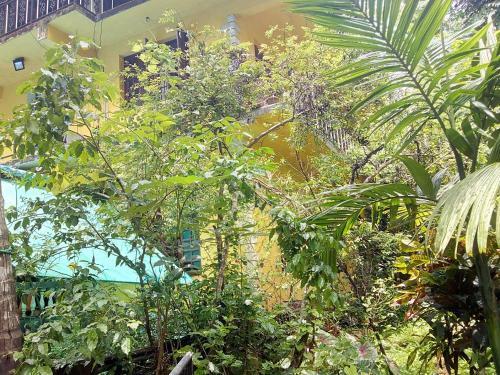 Hostal Aguiar Guest House