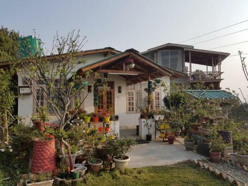 Hotel Cosmos Himalayan Villas