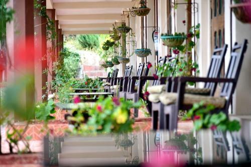 Hotel Xomotel Ranikhet Heights