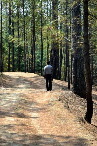 Hotel Xomotel Ranikhet Heights