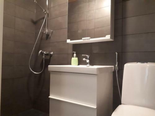Apartamento Vuokatti Slope Studio